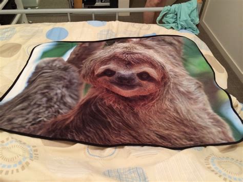 red sloth blanket
